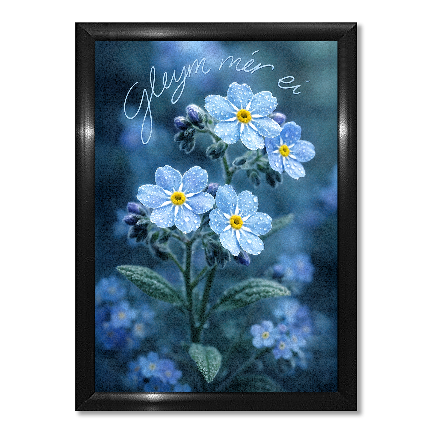 Design of the Month - March 2026