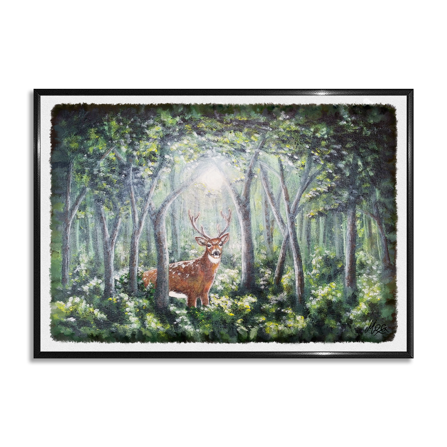 Inn í skóginn - Dádýr