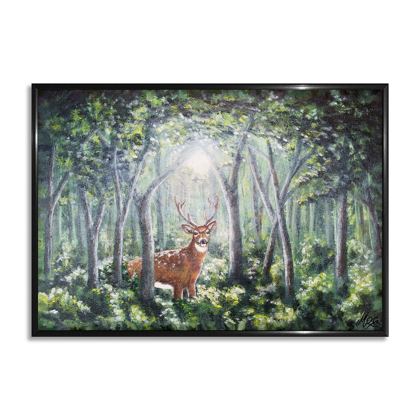 Inn í skóginn - Dádýr