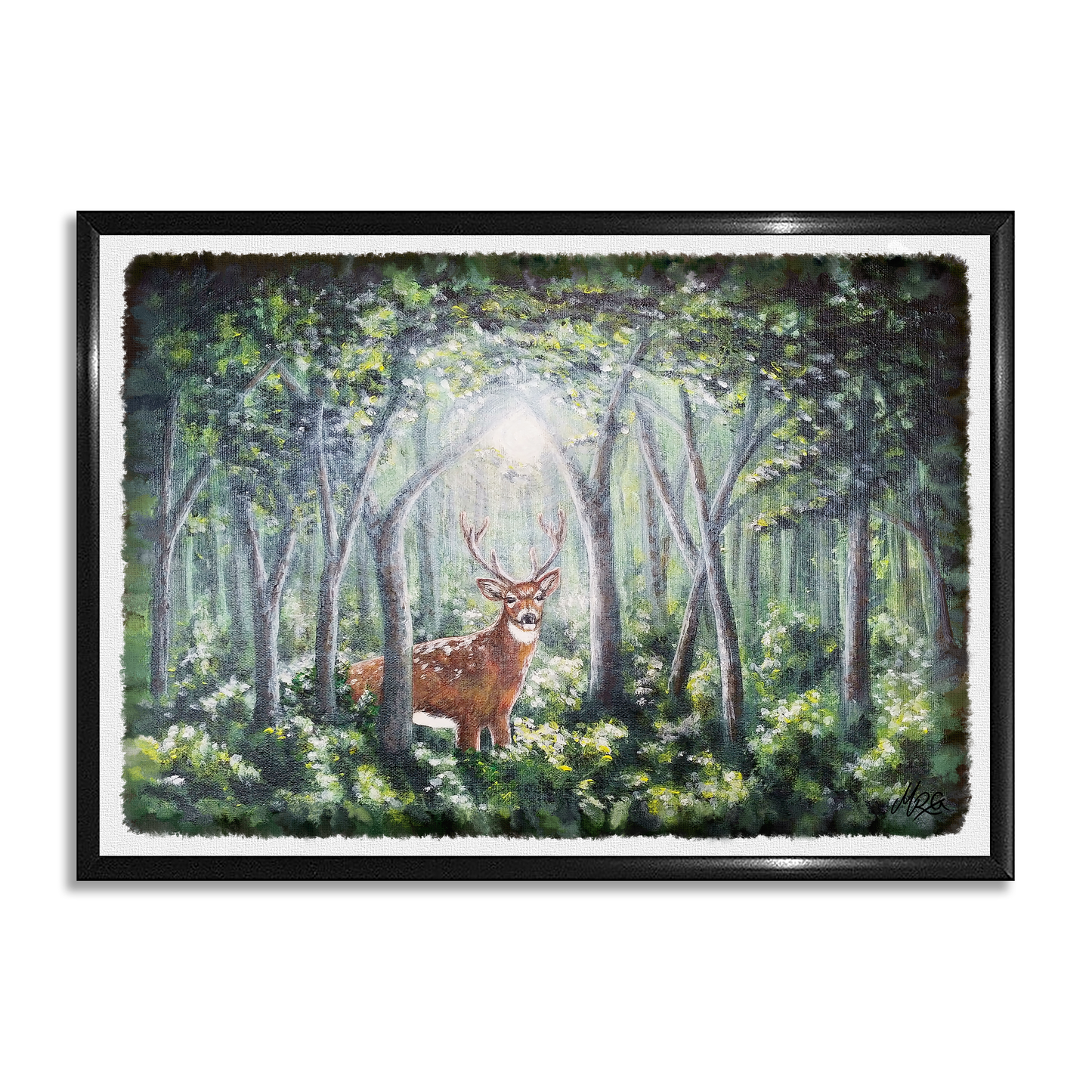 Inn í skóginn - Dádýr