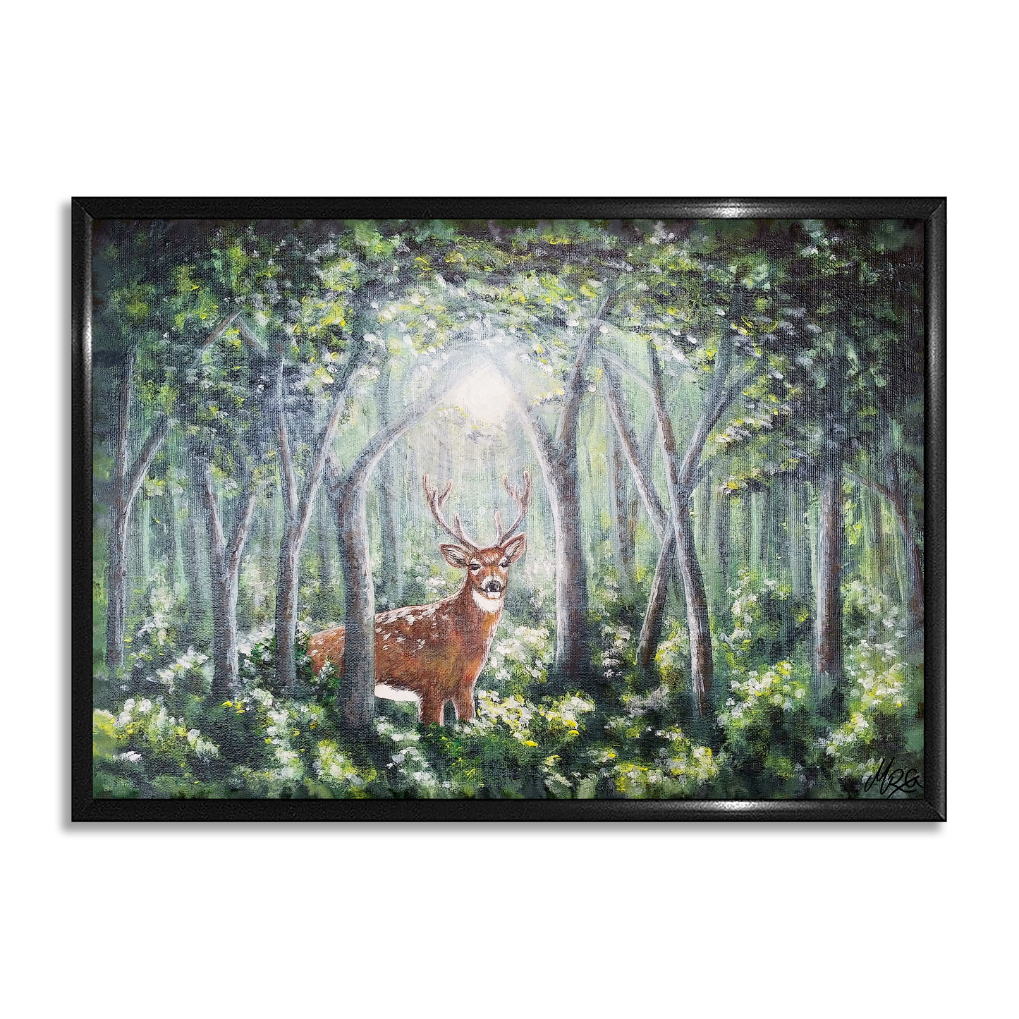 Inn í skóginn - Dádýr