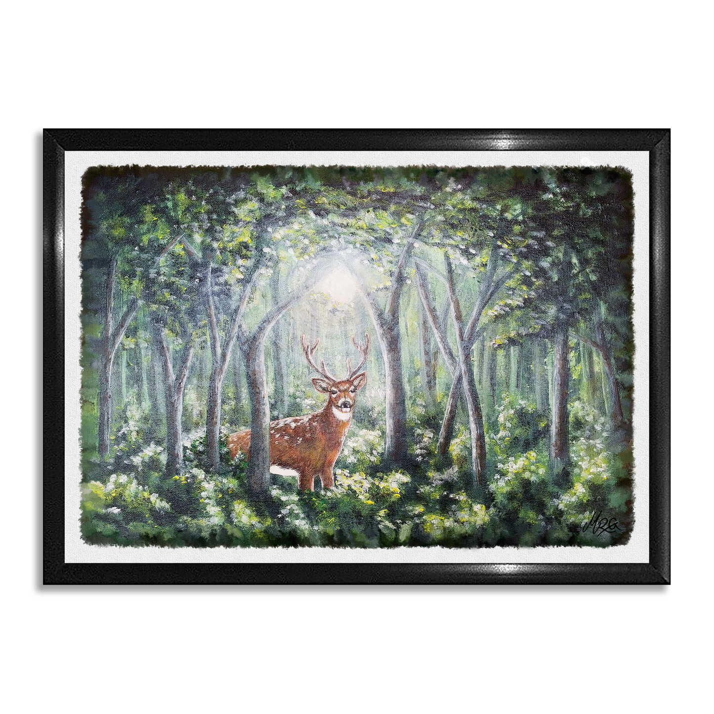 Inn í skóginn - Dádýr