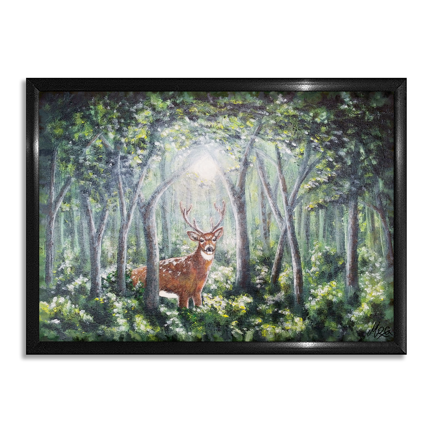 Inn í skóginn - Dádýr