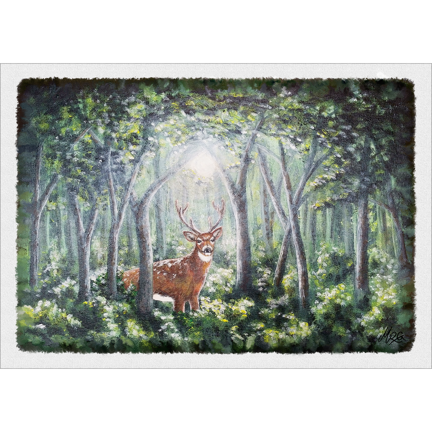 Inn í skóginn - Dádýr