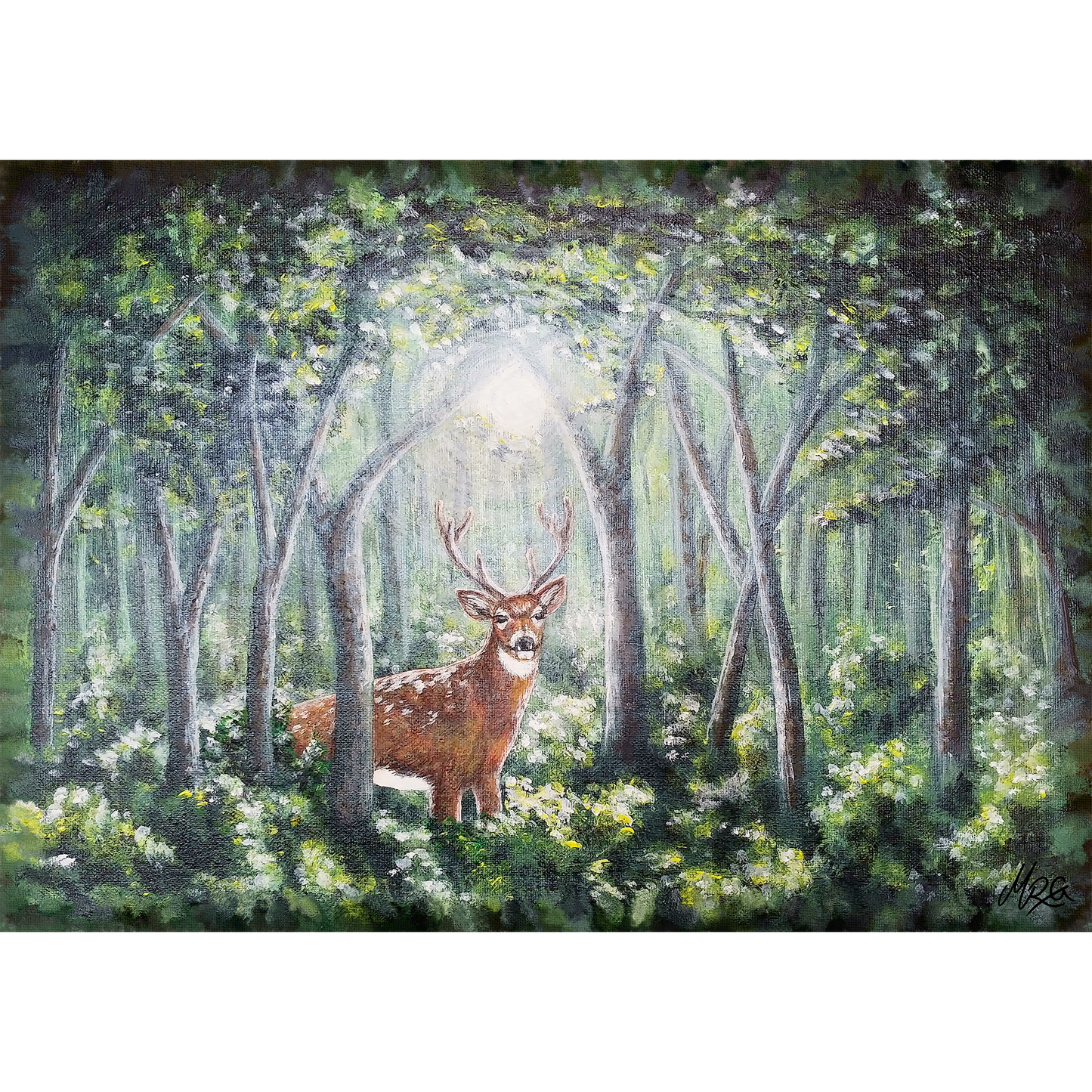 Inn í skóginn - Dádýr