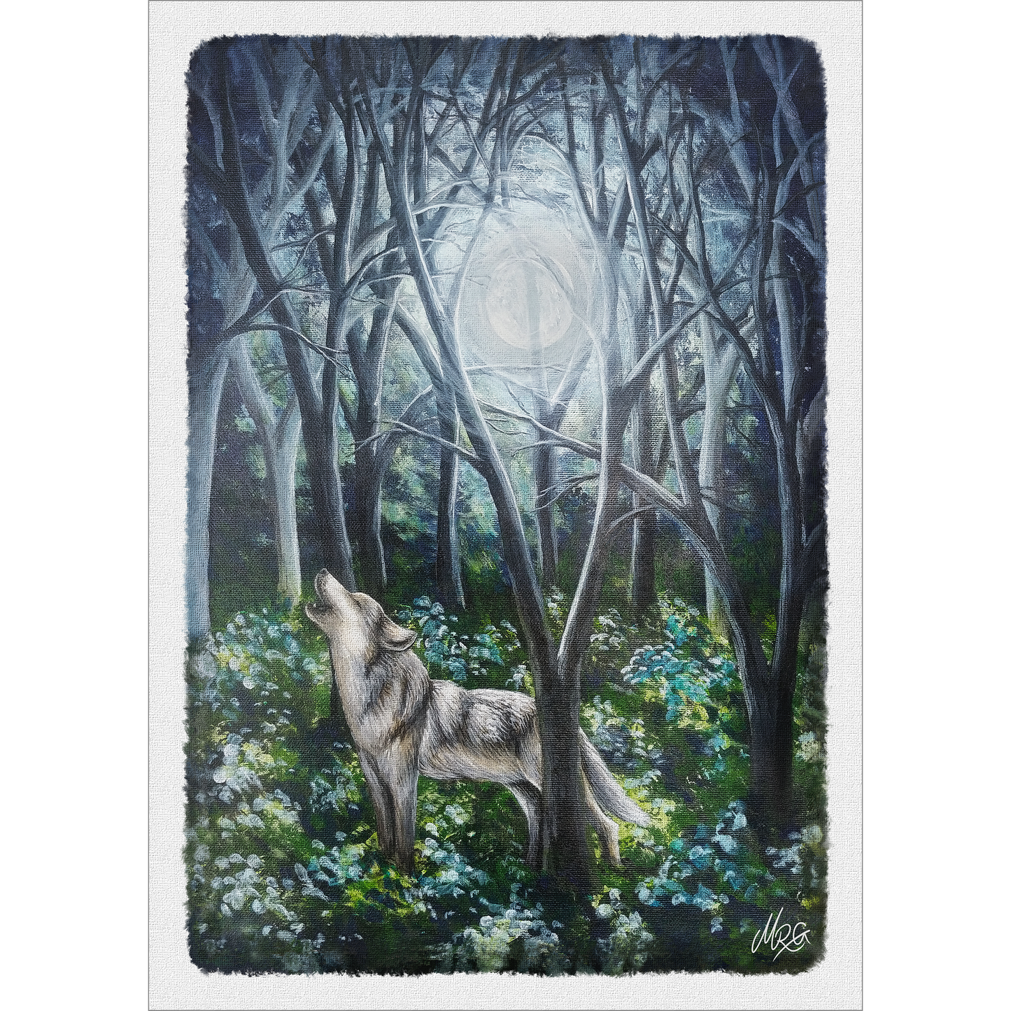 Inn í skóginn - Úlfur