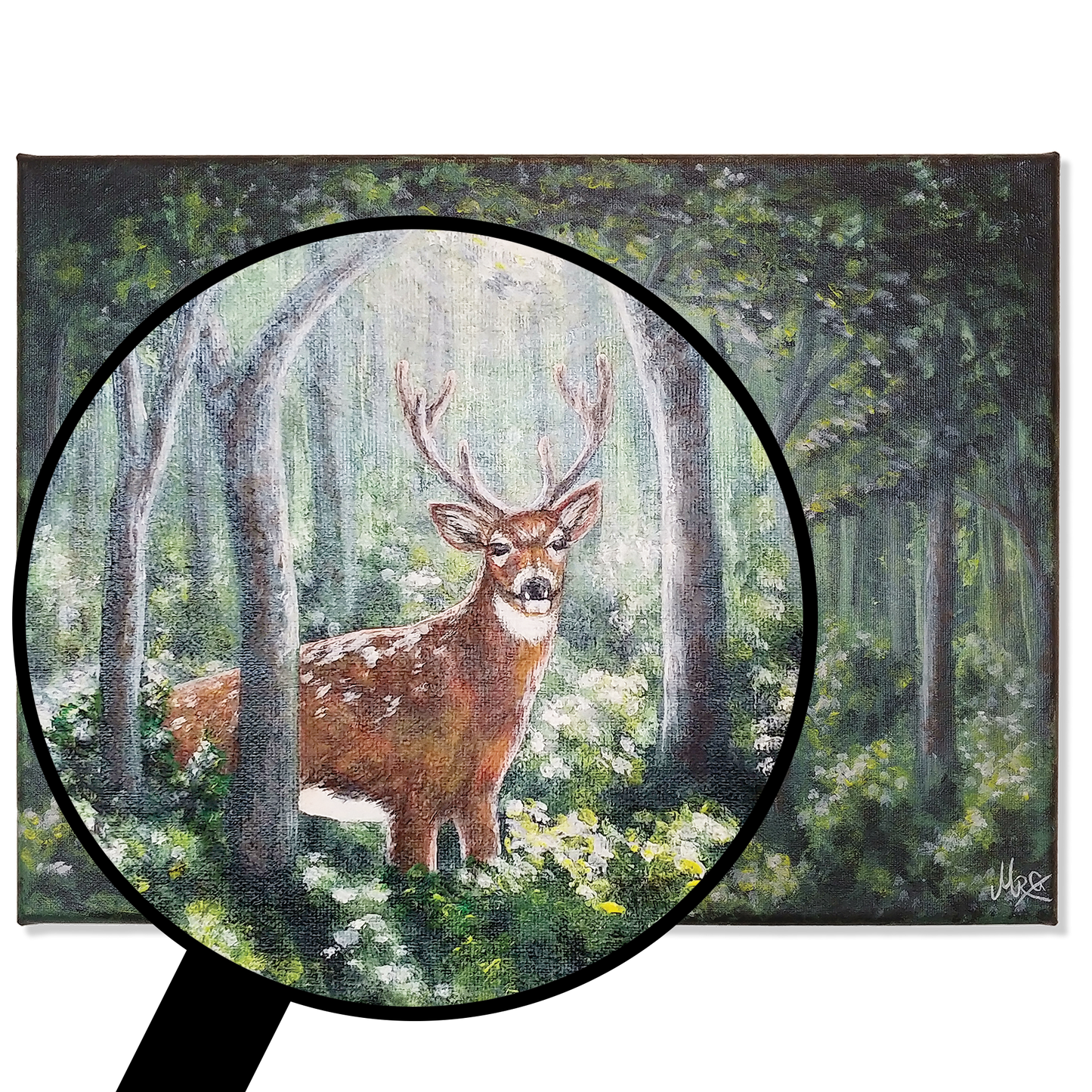 Inn í skóginn - Dádýr