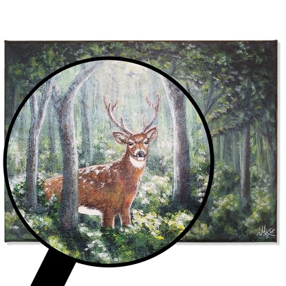 Inn í skóginn - Dádýr