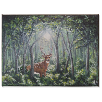 Inn í skóginn - Dádýr