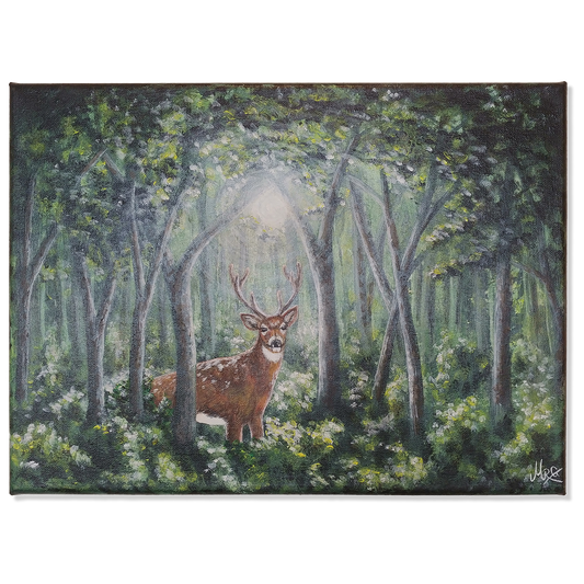 Inn í skóginn - Dádýr