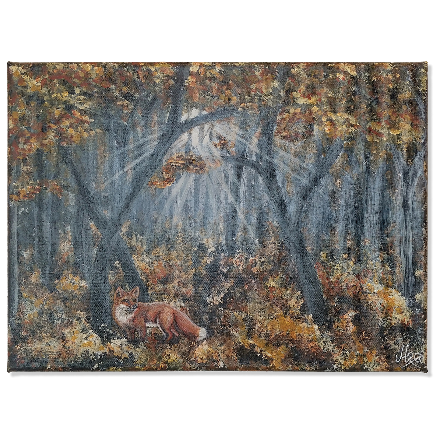 Inn í skóginn - Refur