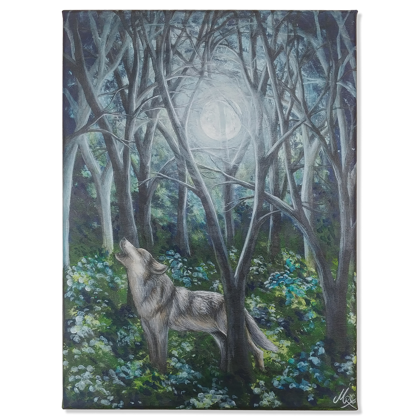 Inn í skóginn - Úlfur